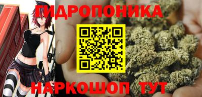 герыч Можга