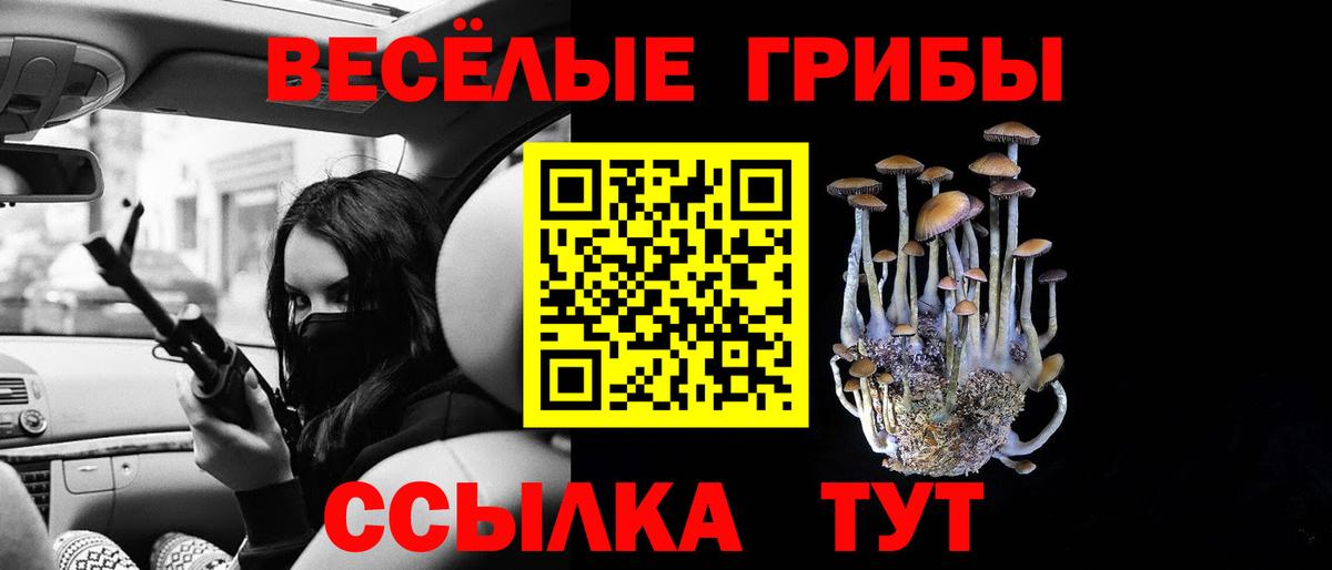Псилоцибиновые грибы прущие грибы Томск