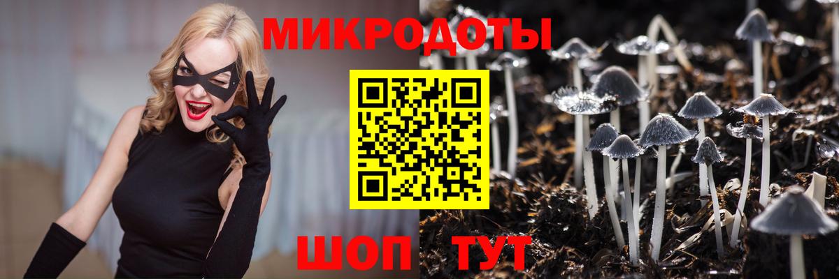 Томск  Псилоцибиновые грибы прущие грибы  Вход с VPN 